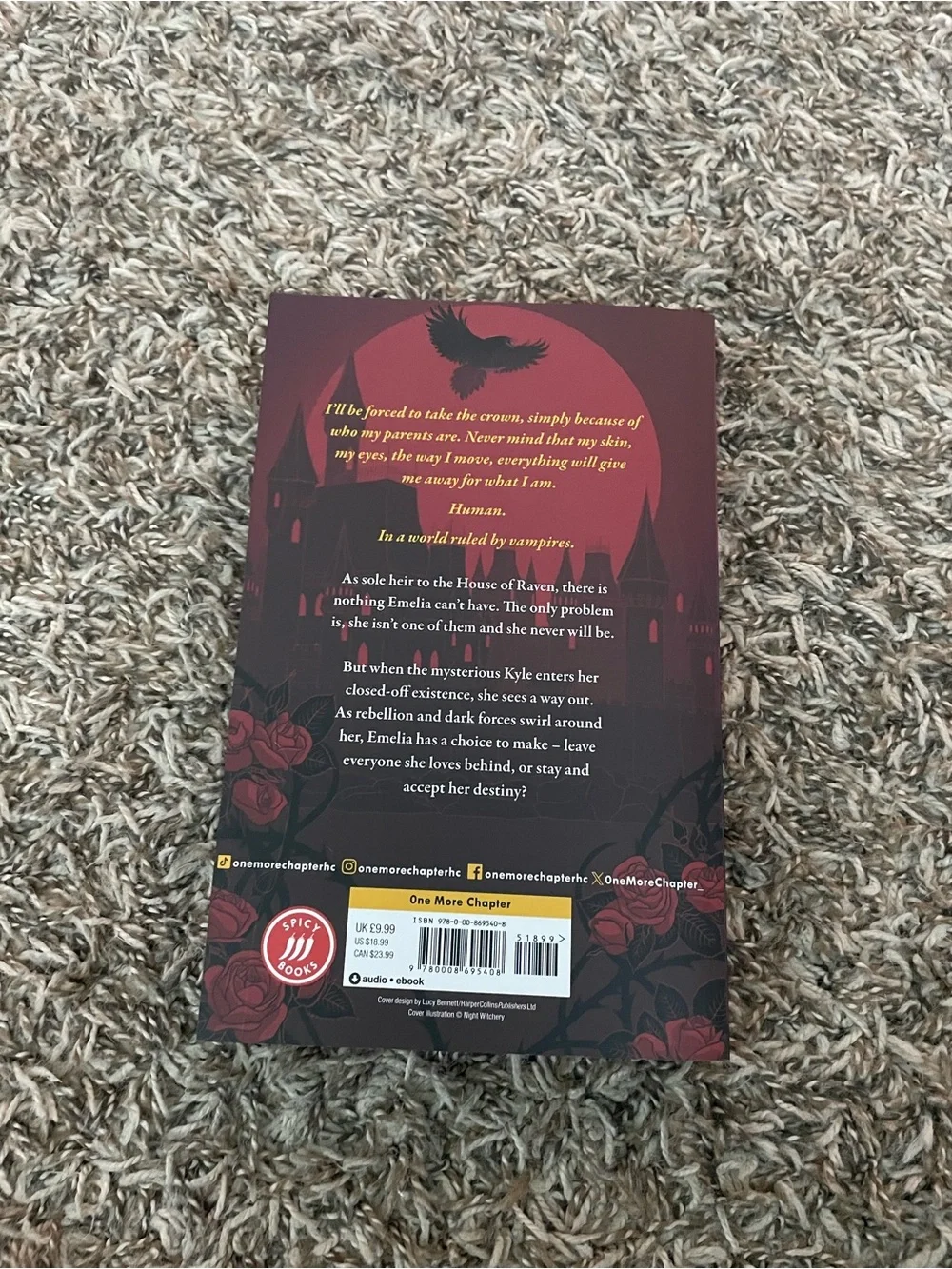 The Last Raven by Helen Glynn Jones - Red Cover Novel